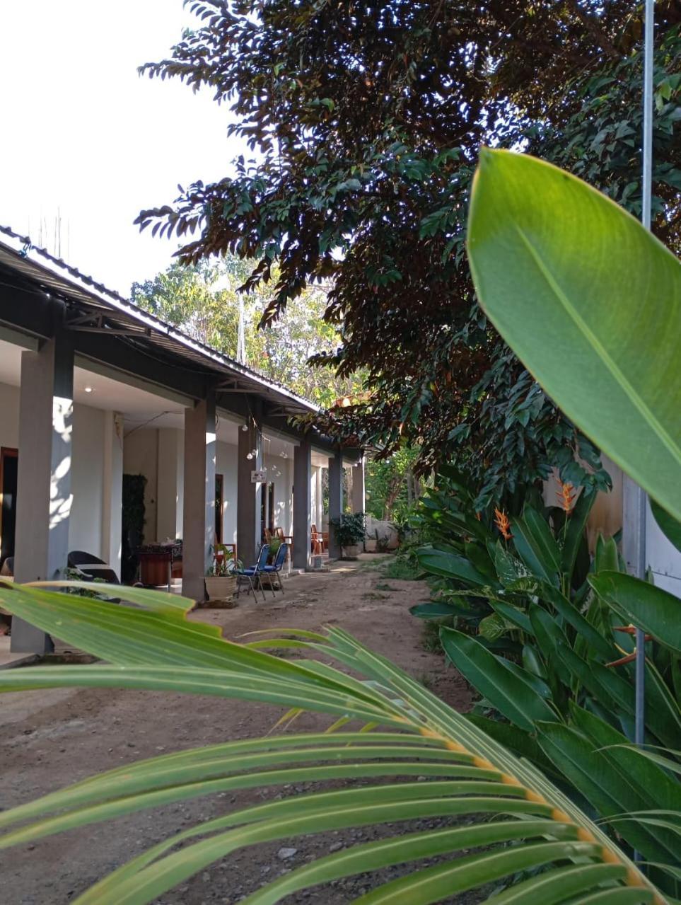 Wl Guesthouse Labuan Bajo Exterior photo